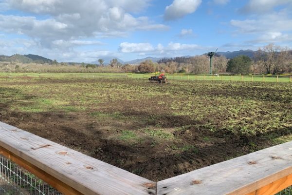 social equity garden