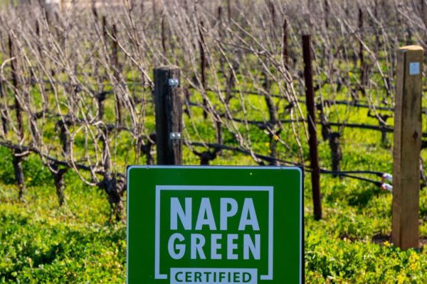 NapaGreen_OpusOne-01838