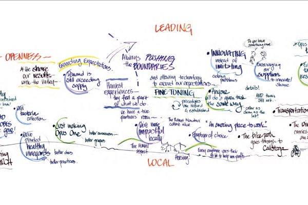 Opus One 2030 Vision II