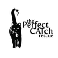 TPC-Logo-for-Screens-K-150x150