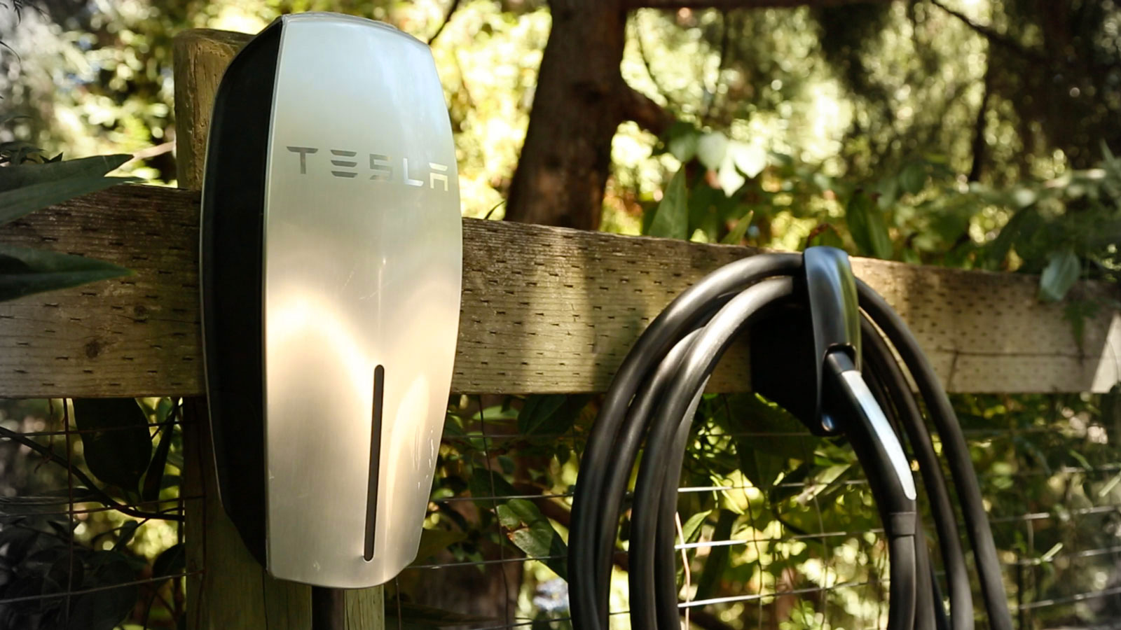 It’s Electric!