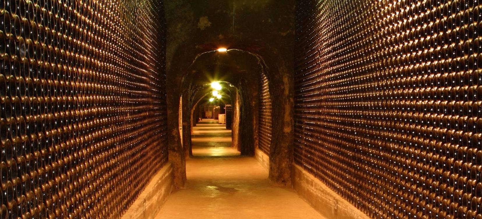 Cheers to Founding Winery Leaders