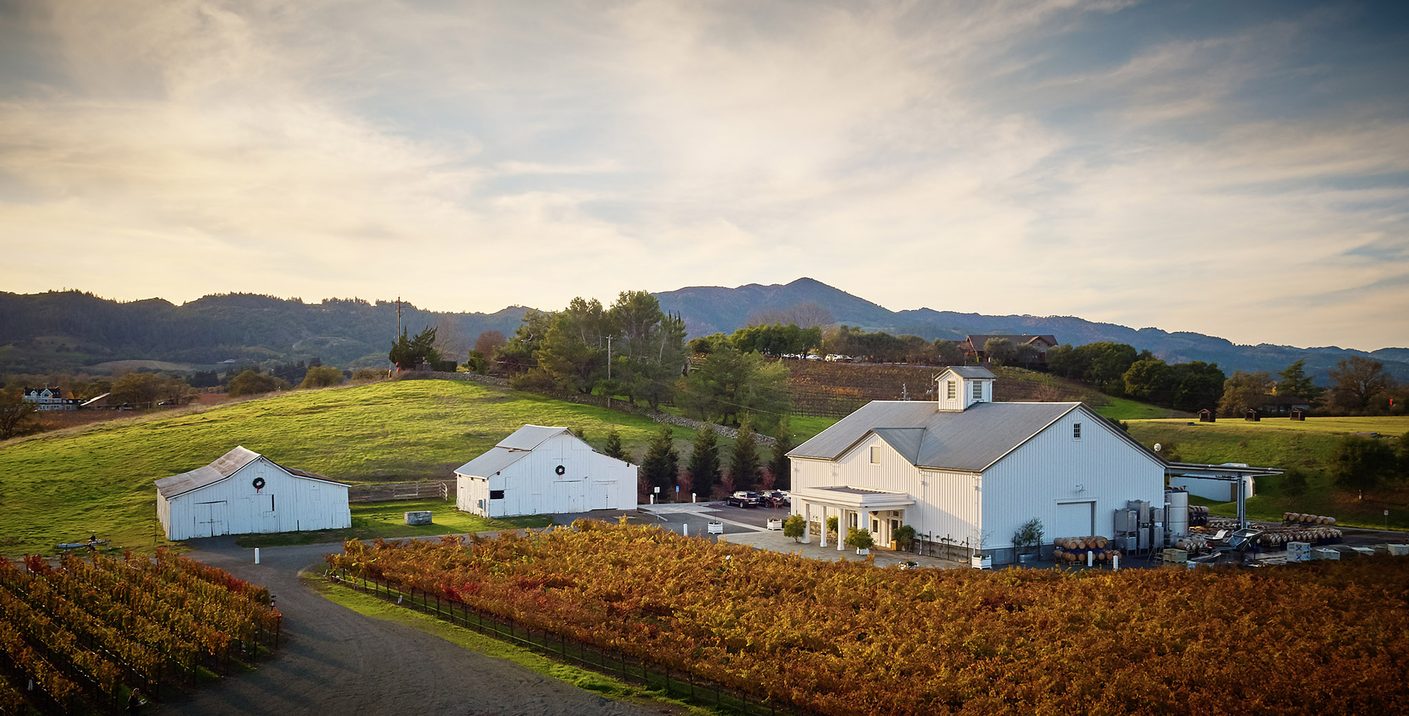 Join Napa Green’s Executive Director, Anna Brittain, Online!