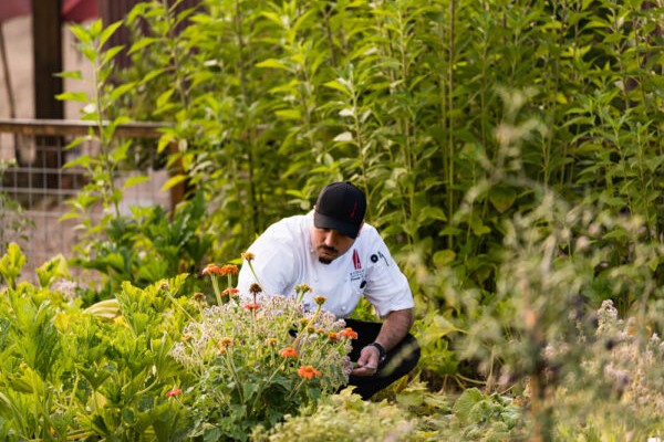 B-cellars-culinary-garden