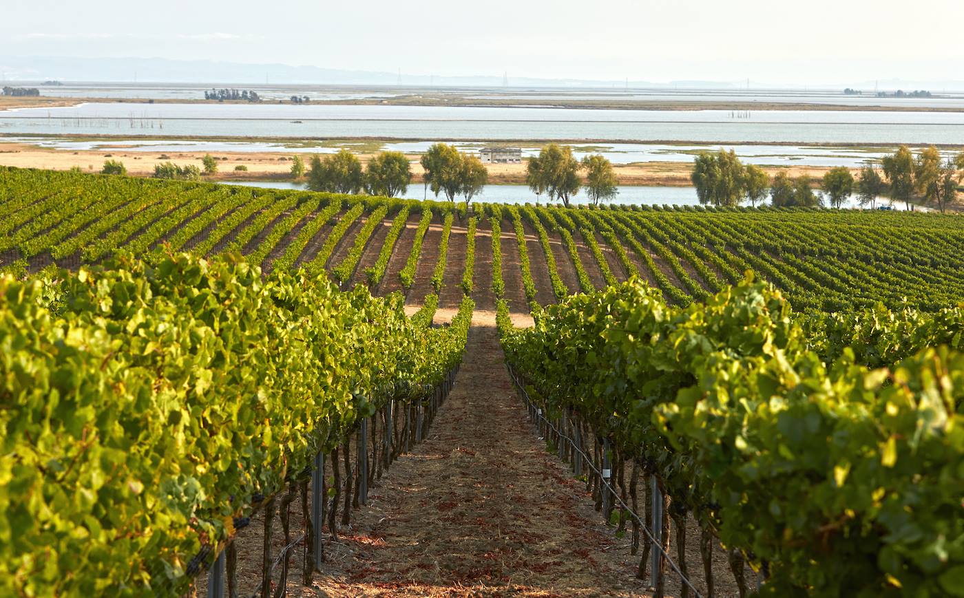 Collective Impact Continues to Grow Thanks to Local Leaders