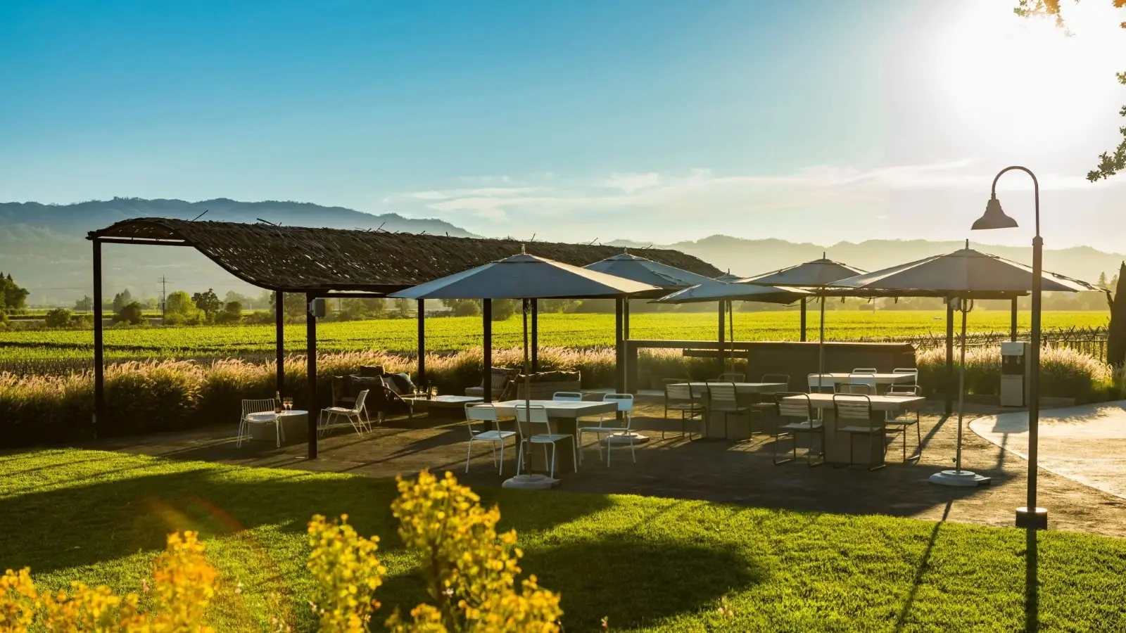 Mumm Napa