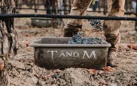 T & M Vineyard Management