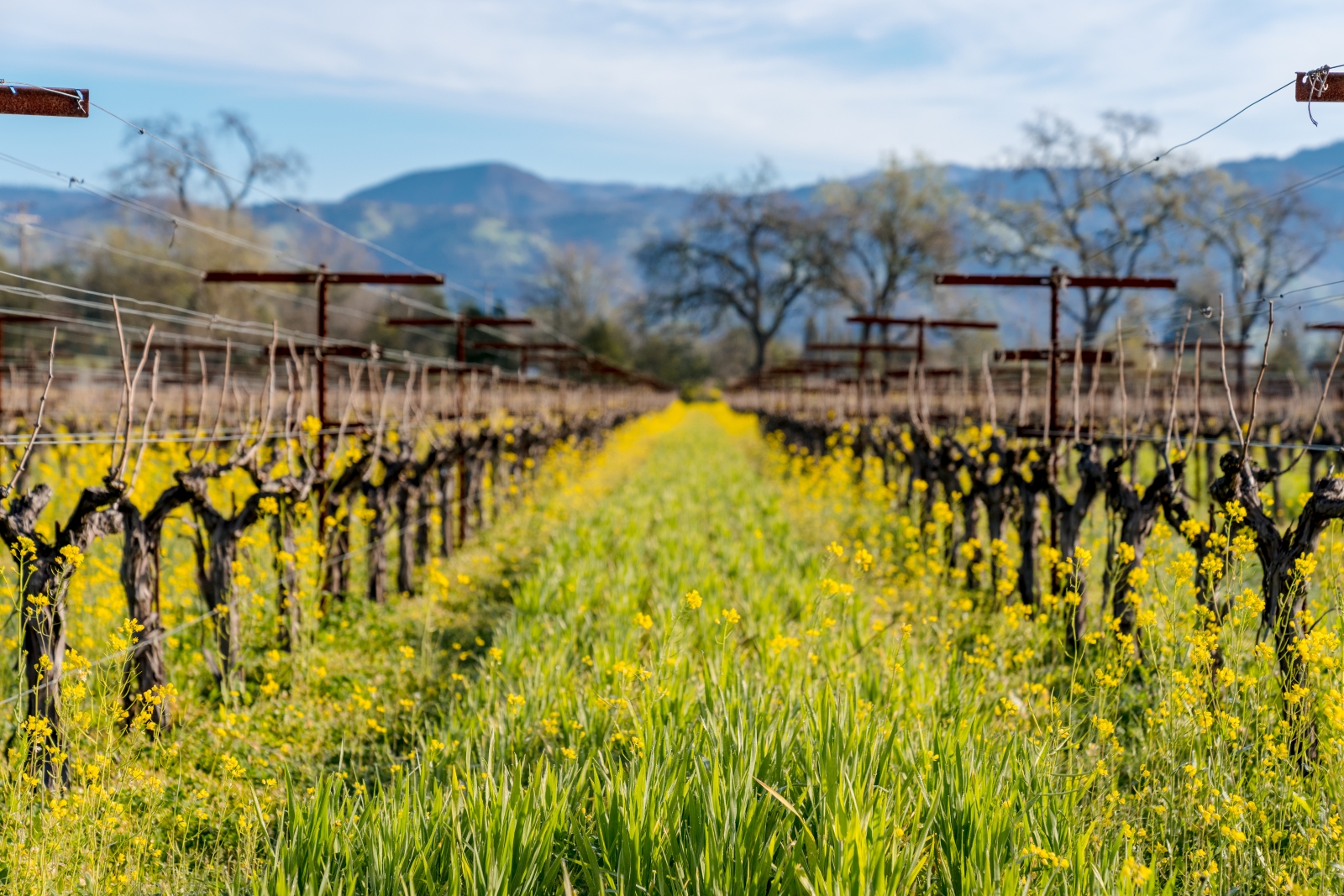 Sustainability Leadership