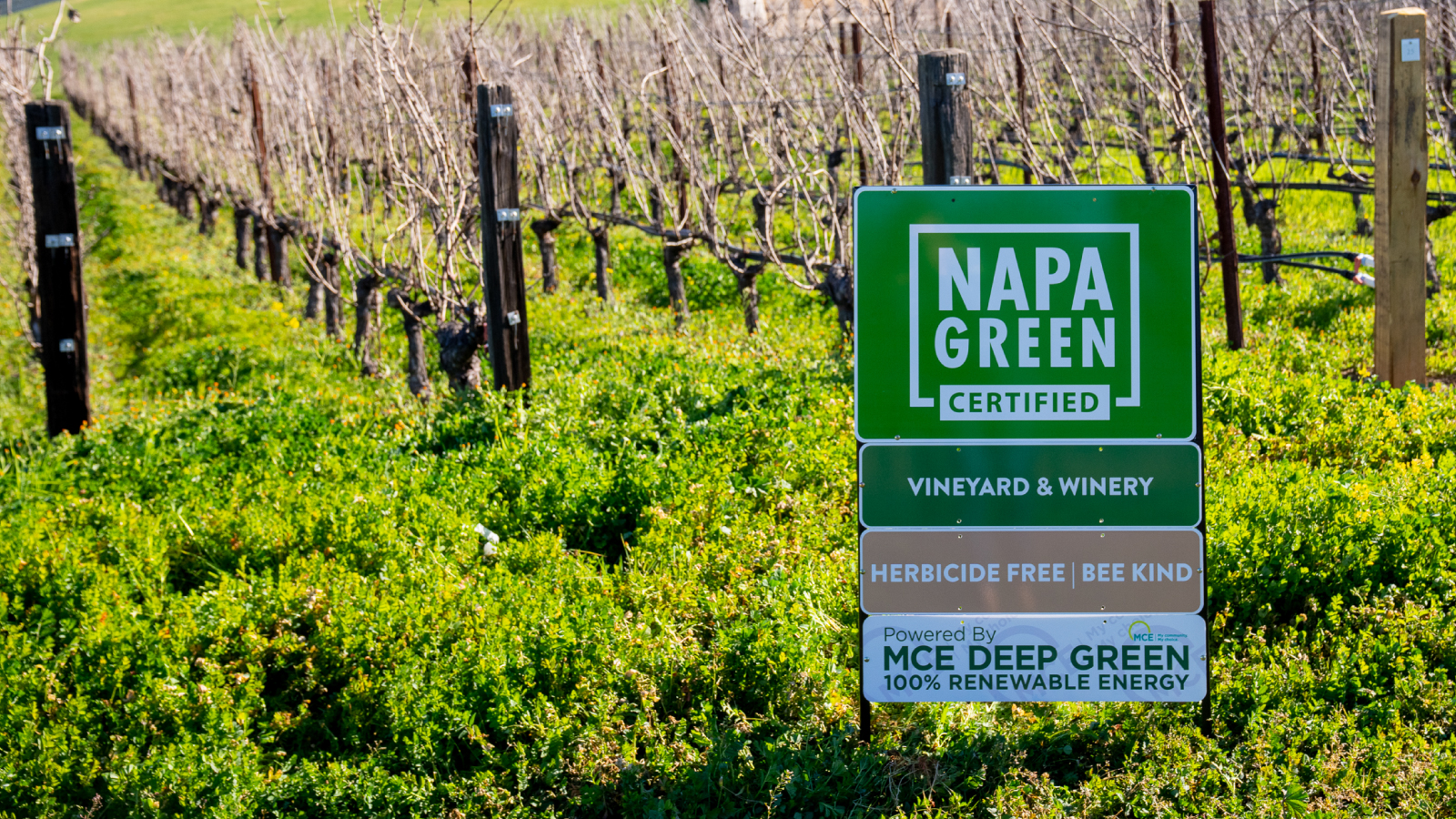 Wineries and Packaging Innovators Double Down on Eco-Friendly Packaging Solutions