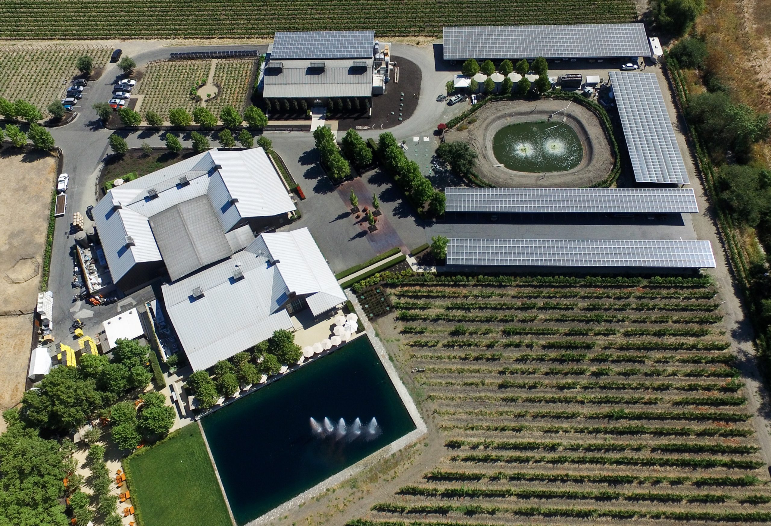 Protecting Your Energy Budget: Why Winery Solar Roadmap Timing Matters Now