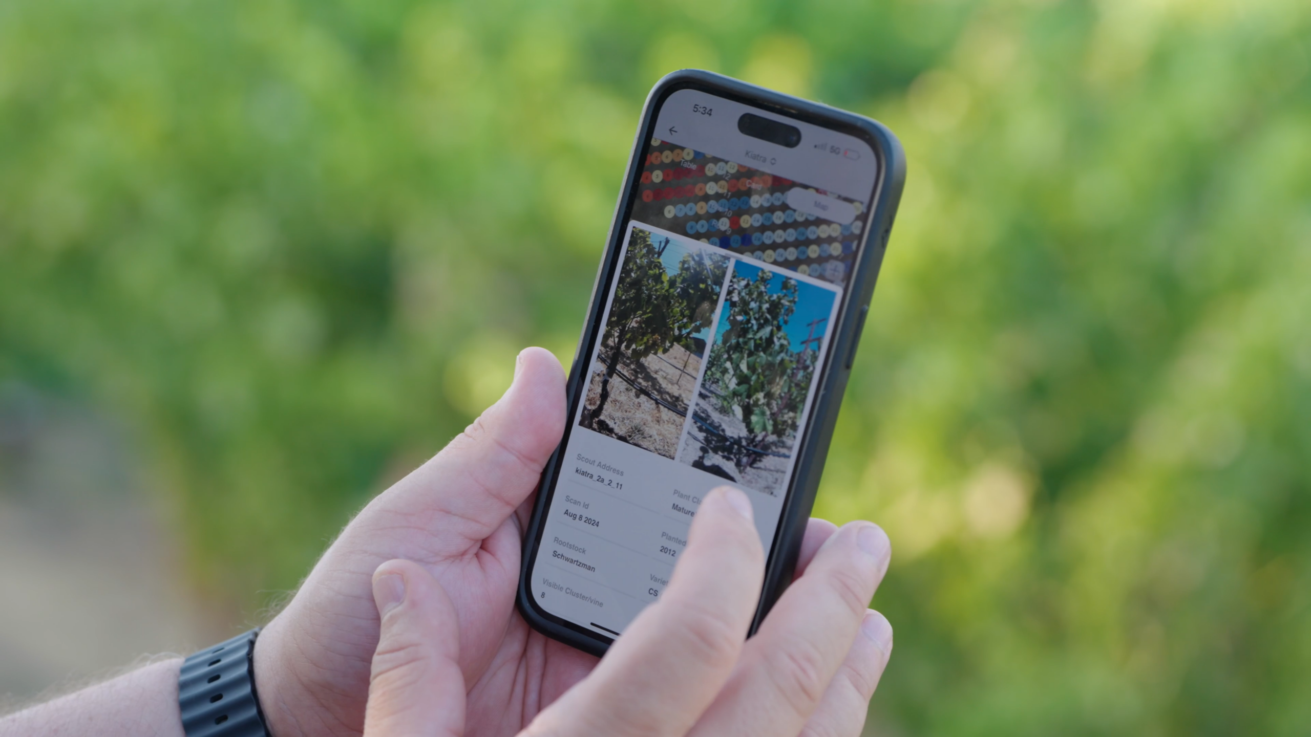 Optimizing Regenerative Farming with Technology & Financial Support
