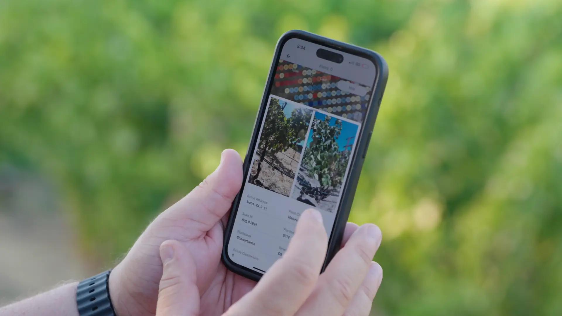 Optimizing Regenerative Farming with Technology & Financial Support