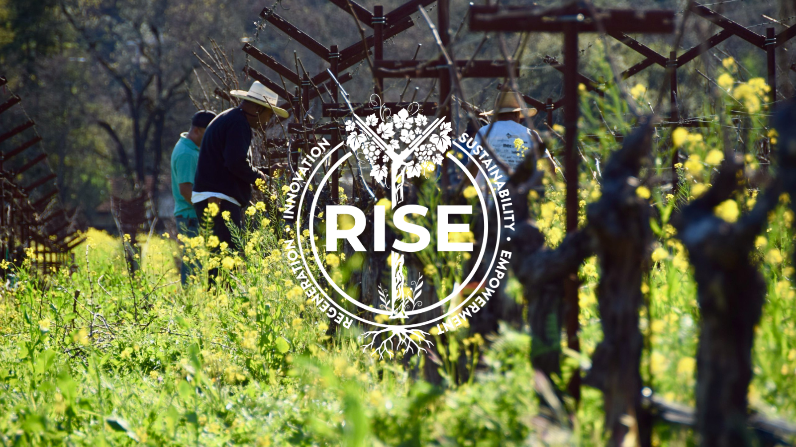 RISE 2027: Regenerative Viticulture