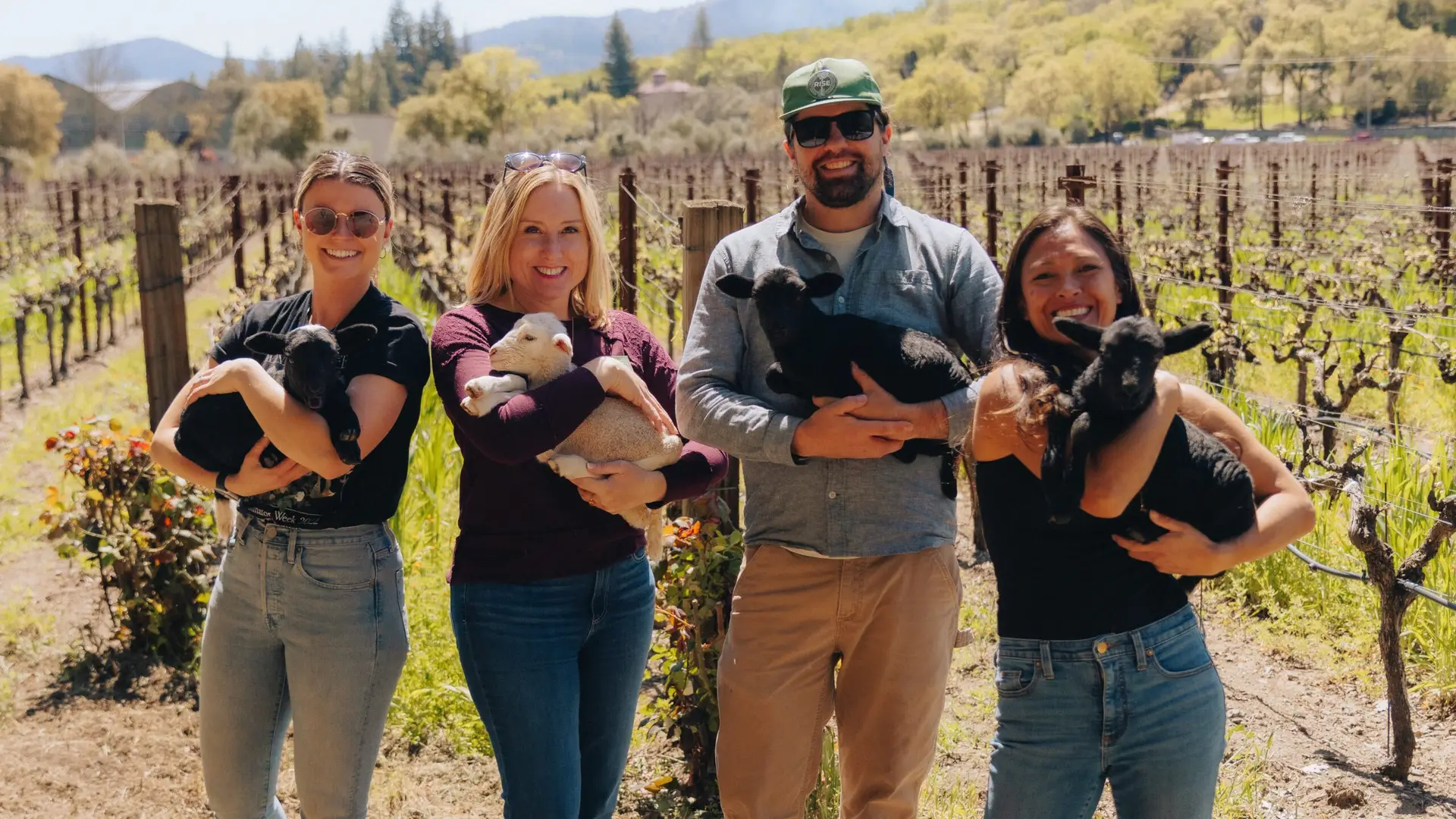 Napa Green Awarded $3 Million Grant to Fund Regenerative Farming