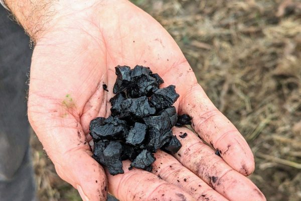 Biochar-hand-header