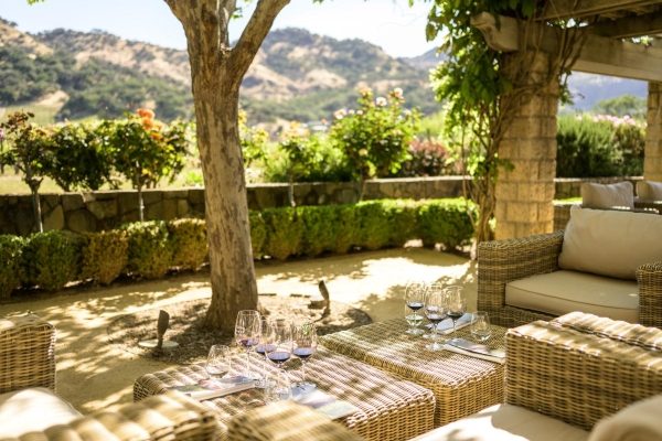 Cliff-Lede-Vineyards