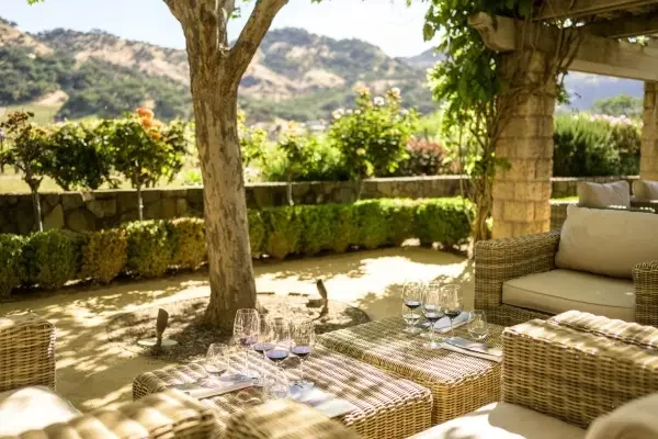 Cliff-Lede-Vineyards