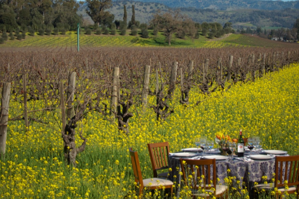 Inglenook-vineyard-dinner 600x400
