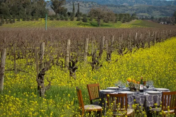 Inglenook-vineyard-dinner 600x400