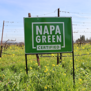 Napa Green Sign spring
