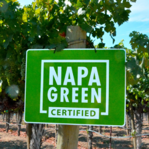 Napa Green - Sign