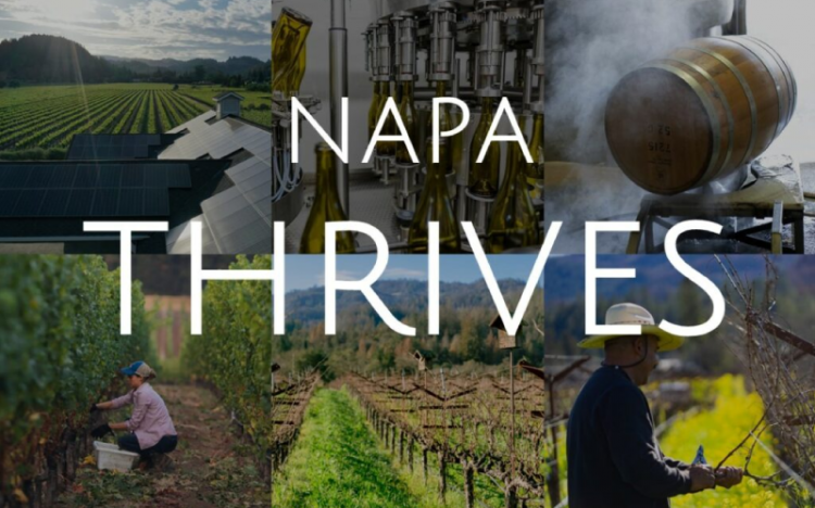 Napa-THRIVES-Panel