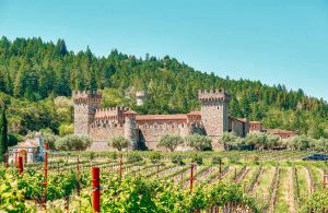 Vineyards with castle in California, USA