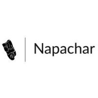 NapaChar-logo