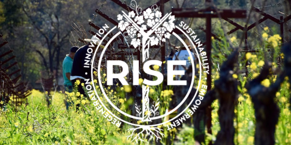 RISE - Climate Action