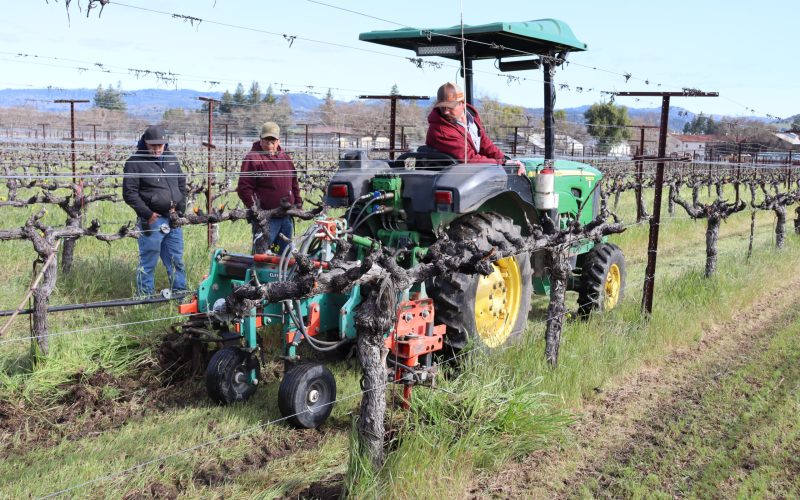 Weed management