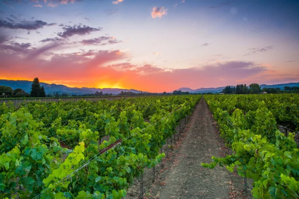 napa farm bureau