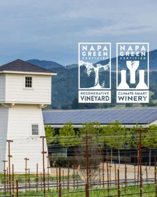 Signs and Merchandise – Napa Green